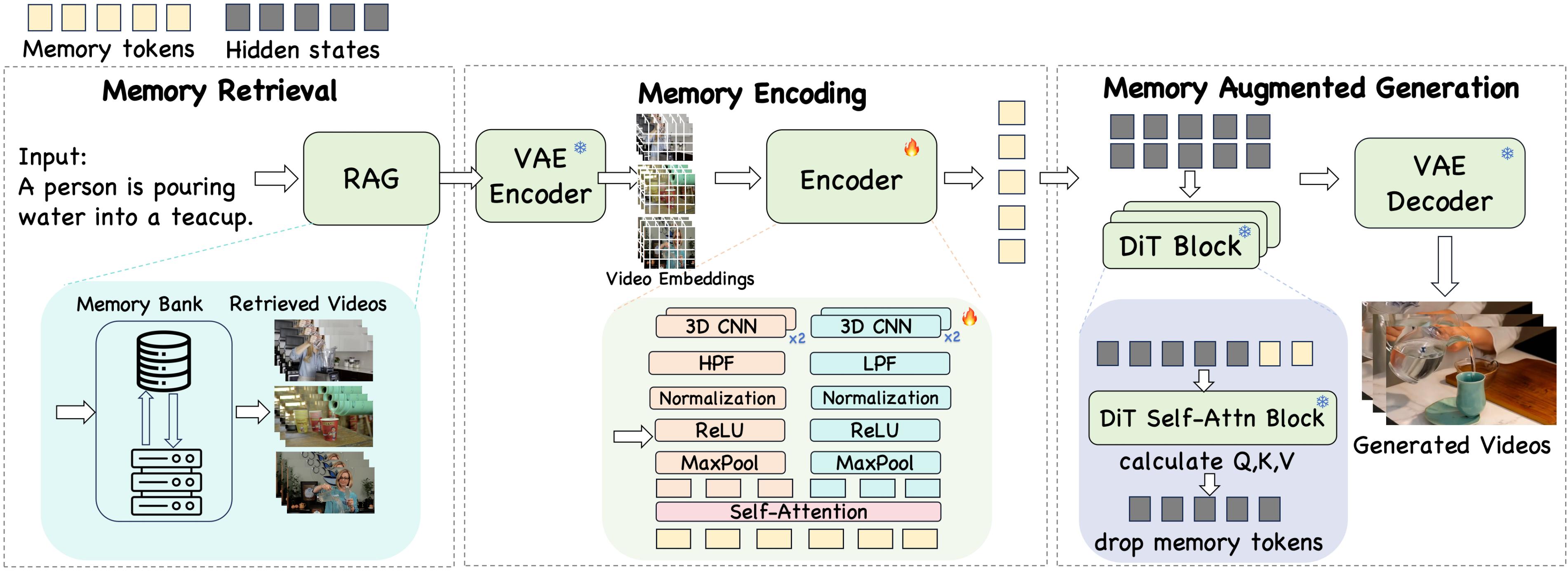 Learning Plug-and-play Memory for Guiding Video Diffusion Models